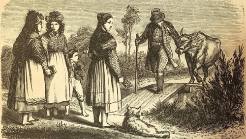 Resident of the province of Saxony, rural scene, man leading beef across footbridge, three woman