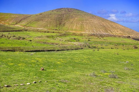 Green valley with hills and blooming meadows, Yaiza Lanzarote