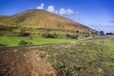A hilly area of green vegetation under a clear sky, Yaiza Lanzarote