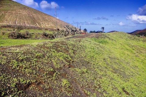 Grassy hills under a clear blue sky with scattered clouds, Yaiza Lanzarote