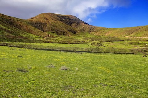 Green fields against a hilly background with blue sky and scattered clouds, Yaiza Lanzarote