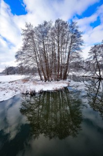 Wintery floodplain landscape along the Schmutter in the Augsburg Western Wälder nature park Park,