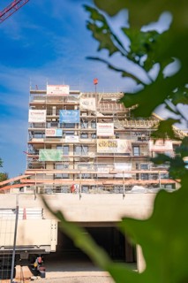 Scaffolding around a multi-storey building surrounded by plants, carpentry, new building,