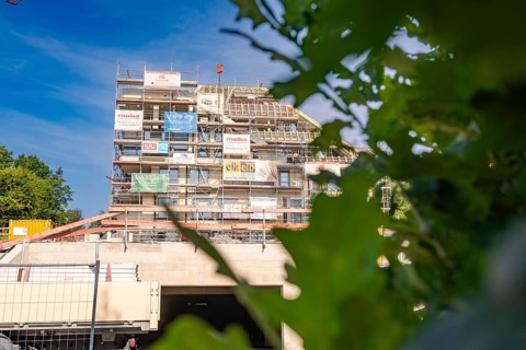 Multi-storey building under construction with scaffolding and plants in the foreground, carpentry,