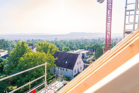 A view from a roof shows a landscape with trees and a crane in the background, carpentry, new