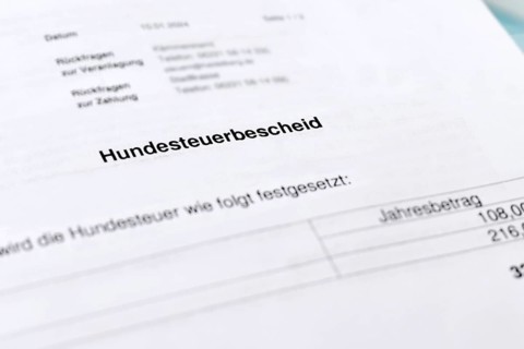 German tax notice document with the word Hundesteuerbescheid (translation: dog tax assessment
