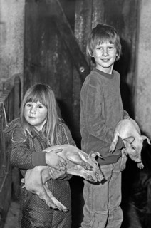 Little girl and boy with a piglet in their arms, in stable, on a former Franconian farm, black and