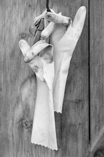 Old rubber gloves on a stable door on a former farm, black and white, Middle Franconia, Bavaria,