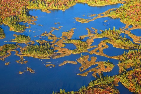 Aerial view of the taiga and lakes in autumn on the Yamal Peninsula, Yamalo-Nenets Autonomous