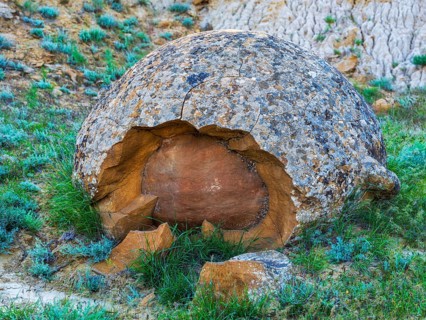 The large spherolites (concretions) at Torysh, with over 500–600 spheres of various sizes covering