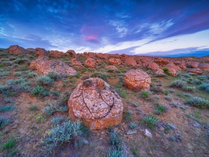 The large spherolites (concretions) at Torysh, with over 500–600 spheres of various sizes covering