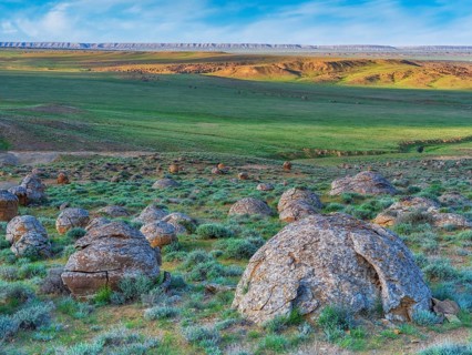 The large spherolites (concretions) at Torysh, with over 500–600 spheres of various sizes covering
