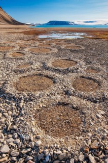 Natural geological formations shaped by cryoturbation (frost churning) in the Arctic desert,
