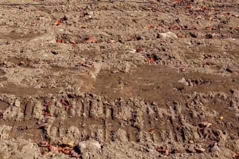 Excavator machinery tracks on compacted tan and light brown sand with scatterted fallen leaves at