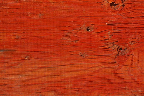 Close-up of orange painted plywood surface with deep grain and knots, Quebec, Canada