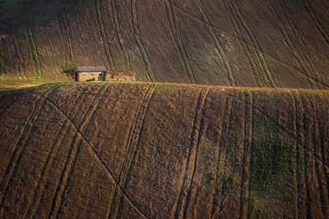 Farmhouse in the Marche hills, surrounded by plowed fields, not far from the town of Corridonia,