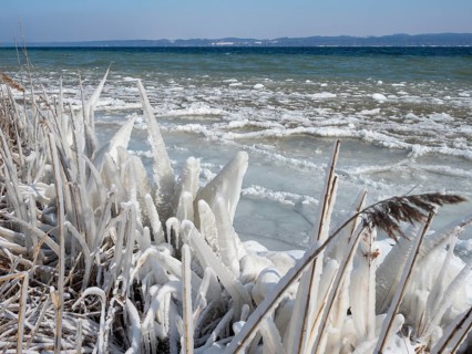 Eis am Starnberger See near Bernried, pancake ice cream, Fünfseenland, Upper Bavaria, Germany