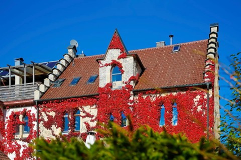 Restaurant Altes Forsthaus near Lichtenstein Castle, restaurant, dining restaurant, historic