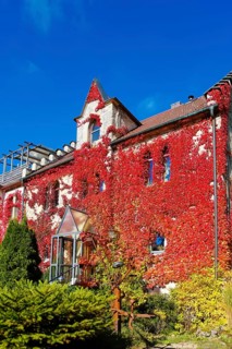 Restaurant Altes Forsthaus near Lichtenstein Castle, restaurant, dining restaurant, historic