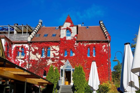 Restaurant Altes Forsthaus near Lichtenstein Castle, restaurant, restaurant, historic building,