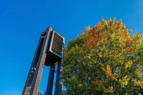 Großengstingen cemetery, ringing at the announcement hall, deciduous tree, autumn colors, colorful