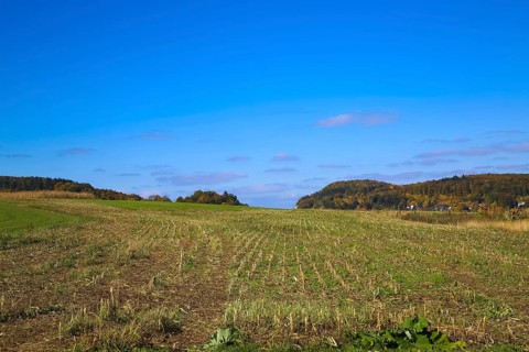 Field, harvested field, agricultural land, green areas, mountains, view of hills, blue sky, alpine