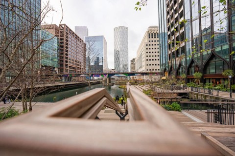 Wooden path along a canal amid tall, modern buildings and few trees, Canary Wharf, London, England,