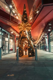 Large Christmas tree in urban setting with festive lights at night, London, England, Great Britain