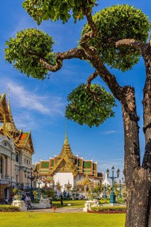 The Grand Royal Palace, trees with spherical branches, in the back the Chakri Maha Prasad throne