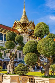 The Grand Royal Palace, trees with spherical branches, in the back the Chakri Maha Prasad throne