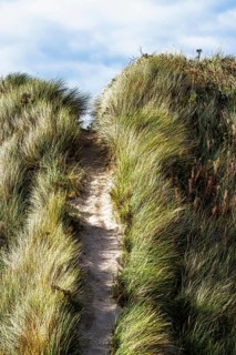 Dunes over Bamburgh Castle, Northumberland, Northeast Coast, England, UK