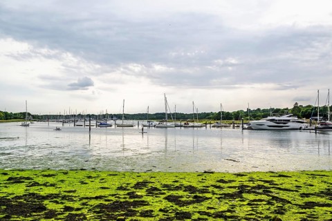 Swanwick Marina, River Hamble, Swanwick, Southampton, Hampshire, UK