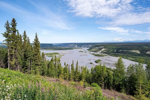 Copper River and Taiga landscape with forest, high mountain peaks in the back, Wrangell Mountains,
