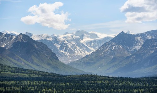 Taiga and tundra, glaciated mountain peaks at the back, Chugach Mountains, Alaska, USA