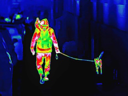 Thermal image or thermography, symbolic photo, interpolated. People traveling with dogs in urban