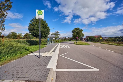 Hohnhurst bus stop, road marking BUS, town entrance, houses, corn field, trees, blue sky, cumulus