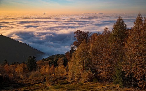 Aerial view, view from Königstuhl Heidelberg in evening light with Indian summer over autumnal fog