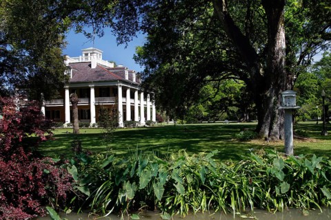 Mansion surrounded by lush greenery and tall trees in the garden, Darrow, Louisiana, USA