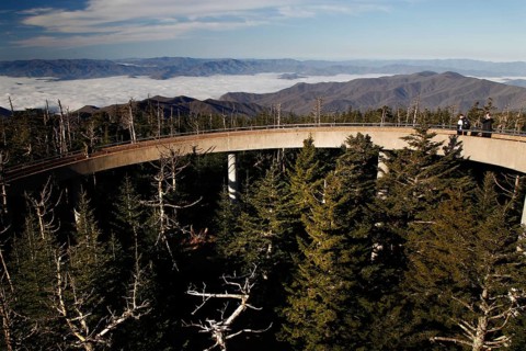 Observation deck with a wide view over the forested mountains, Chlingmans Dome, Great Smoky