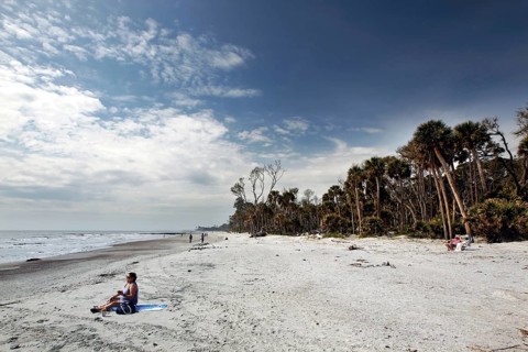 White sandy beach with palm trees under a wide sky, quiet scene, Hunting Island, South Carolina,