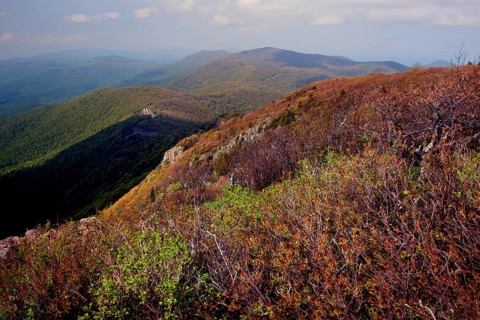View from the summit of Stony Man in Shenandoah National Park over wooded hills, Shenandoah