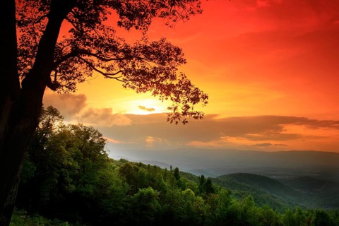 Colorful sunset over green landscape in Shenandoah National Park, Shenandoah, Virginia, USA