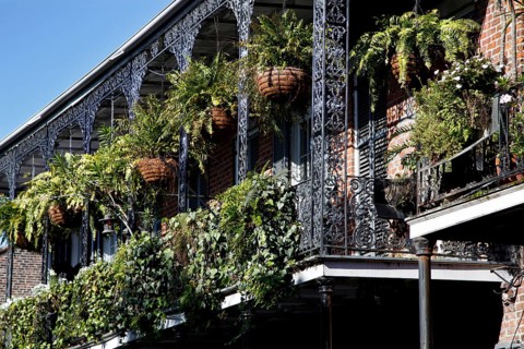 Lavishly planted balcony with intricate iron decorations in the French Quarter, New Orleans,
