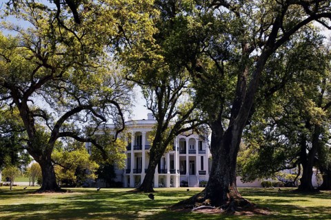 Nottoway Plantation mansion surrounded by mature trees and well-kept garden, zero