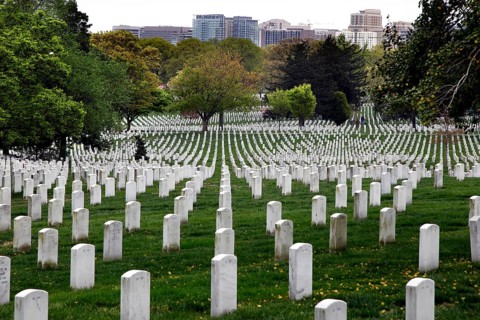 White tombstones stretch in straight rows across green terrain under blooming trees, Washington D