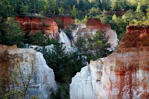 Dense vegetation around rock formations in Providence State Park, Providence Canyon State Park,