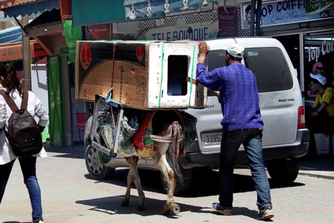 Street scene with a donkey carrying loads next to a van. People walk by while shops are in the