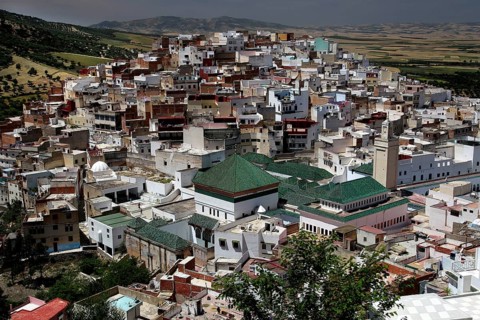 View of the densely built town of Moulay Idris with its distinctive green roofs, Moulay Idris,