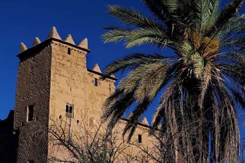 Kasbah Ait Abou Ali in Skoura with high walls and palm trees, against clear blue sky, Skoura,