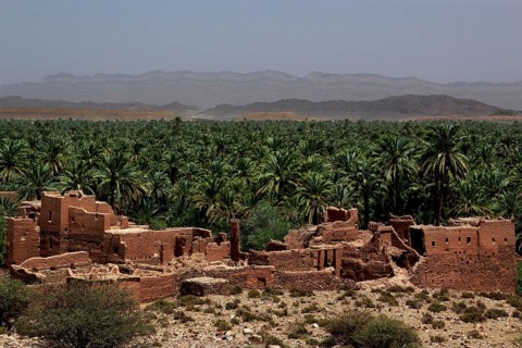 Palm oasis with an old kasbah in Tamnougalt, Tamnougalt, Drâa-Tafilalet, Morocco